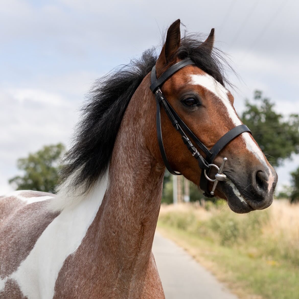 Little d&rsquo;un soir